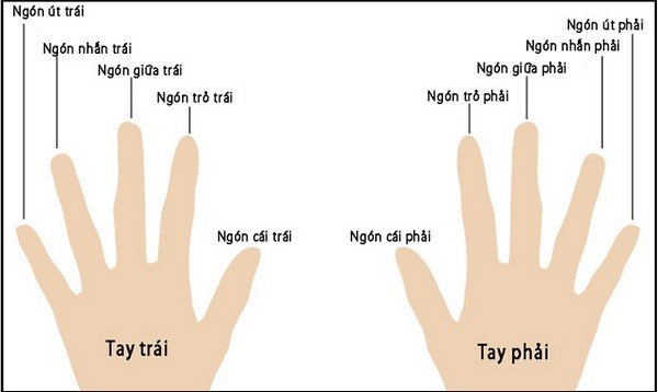 ý nghĩa đeo nhẫn các ngón tay
